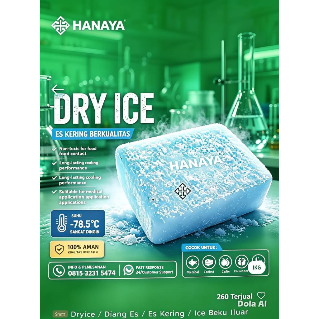 Dry ice / es kering /biang es