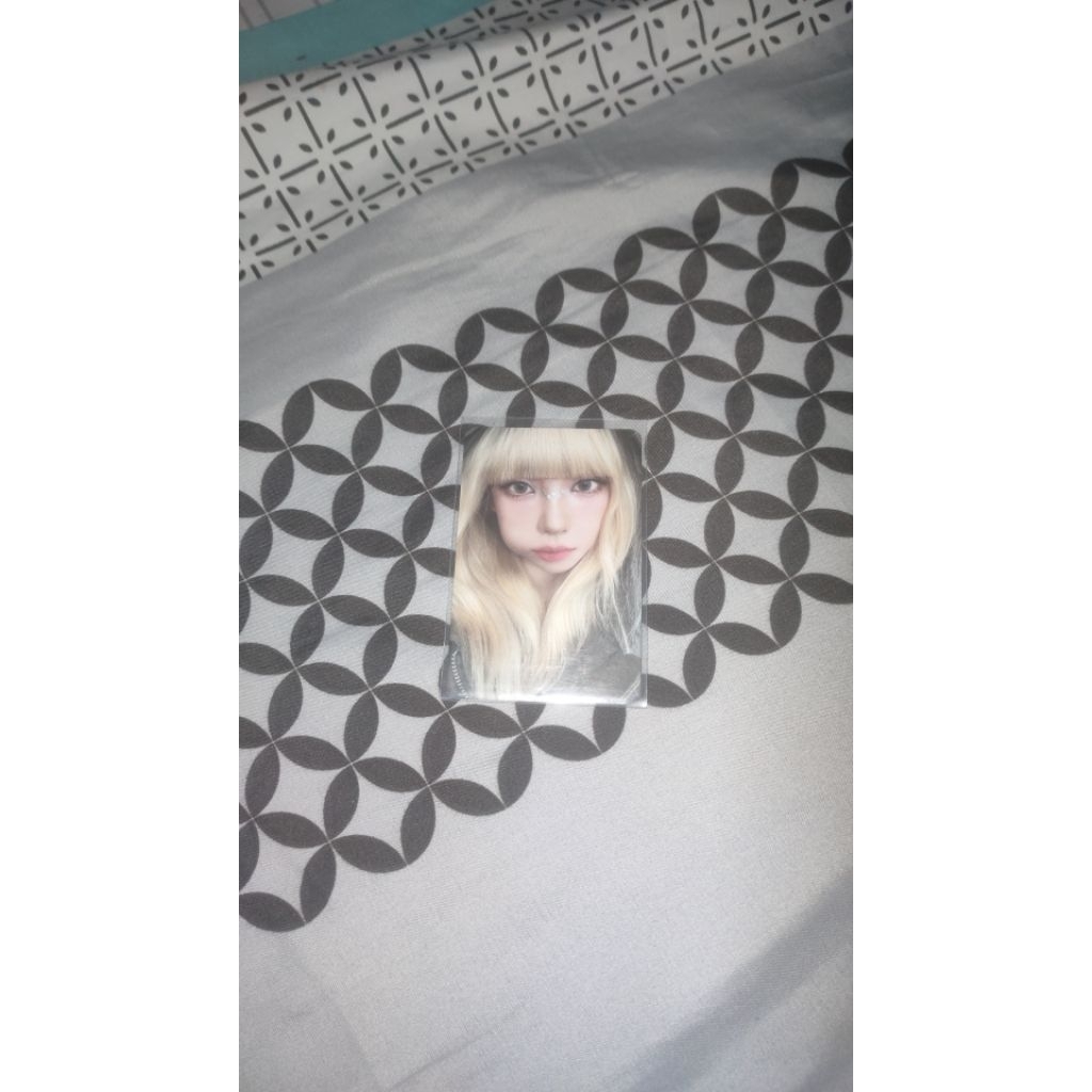 Karina cimol photocard offical