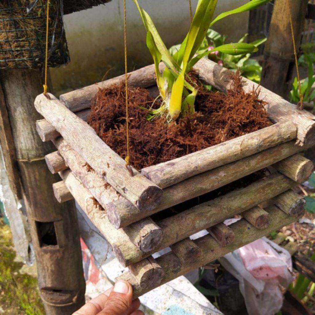 Pot kayu kopi kokoh Pot Anggrek kayu kopi besar murah