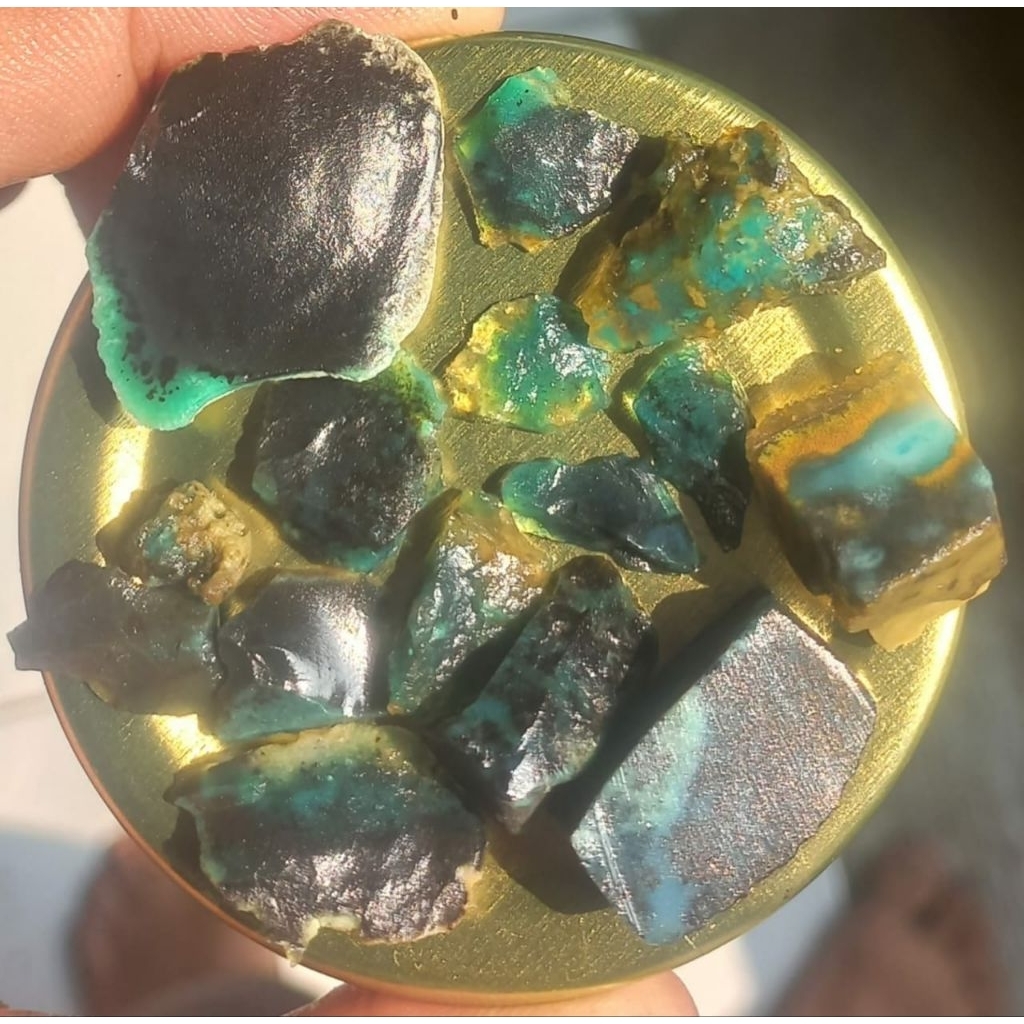 Bahan Bacan