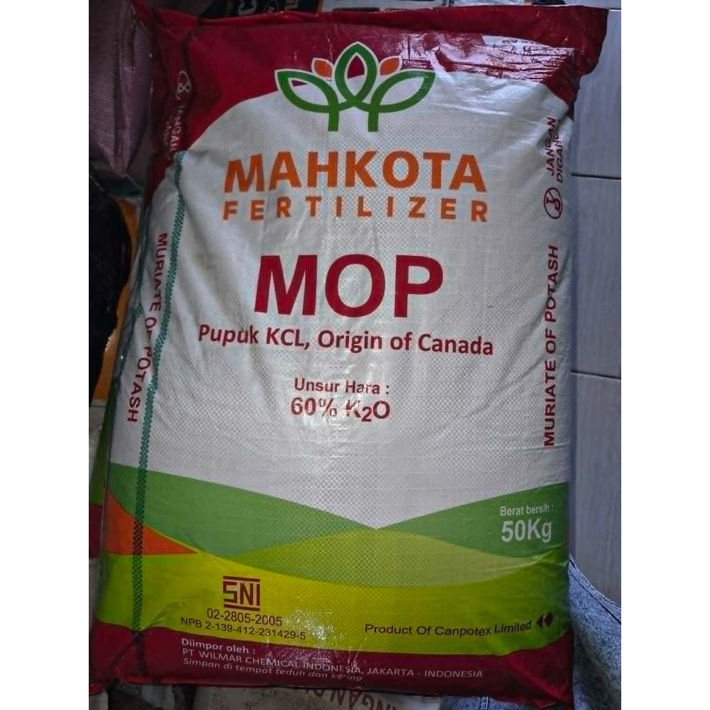 PUPUK KCL 50 KG ASLI MOP TANAMAN mempercepat masa pembuahan