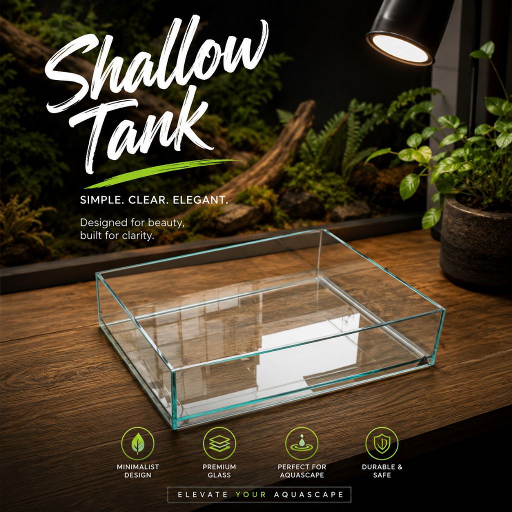 Shallow Tank Aquascape - Aquarium Ikan Hias - Shallow Aquarium Ikan Hias - Mini Aquascape
