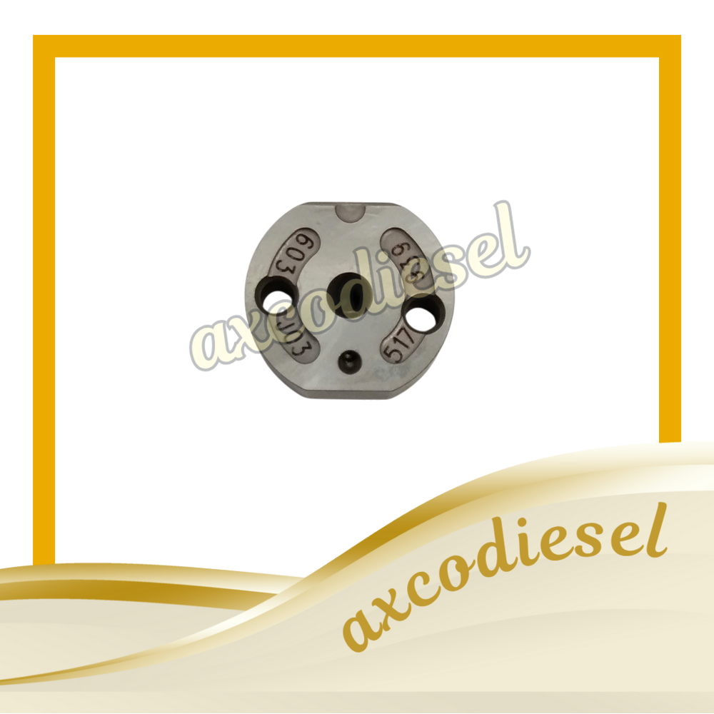 Control Valve 517# Orifice PLATE VALVE  Isuzu ELF Giga NMR 81 Euro 4 TRITON TOYOTA HILUX HIACE 3000