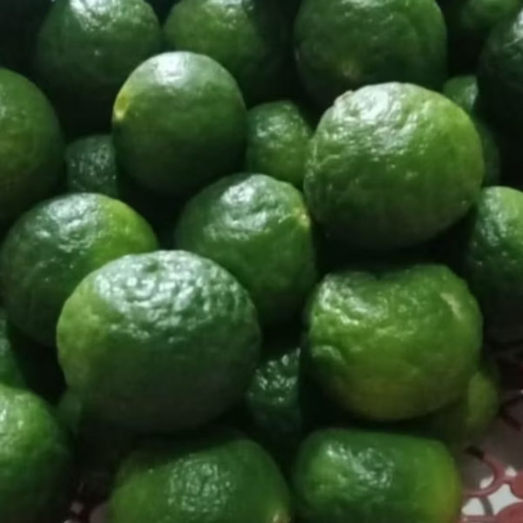 limau nipis jeruk limau sambal 1 biji