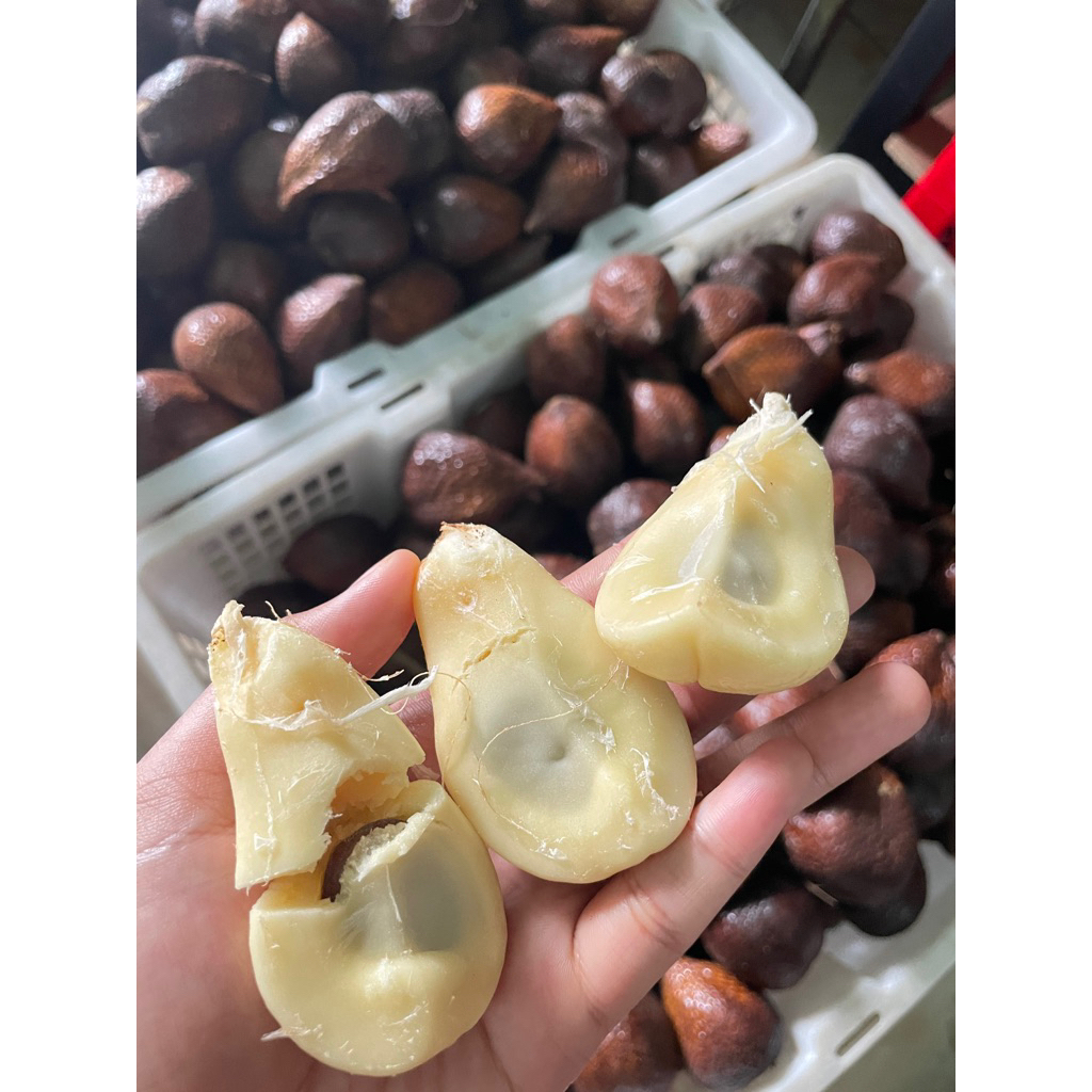 salak madu