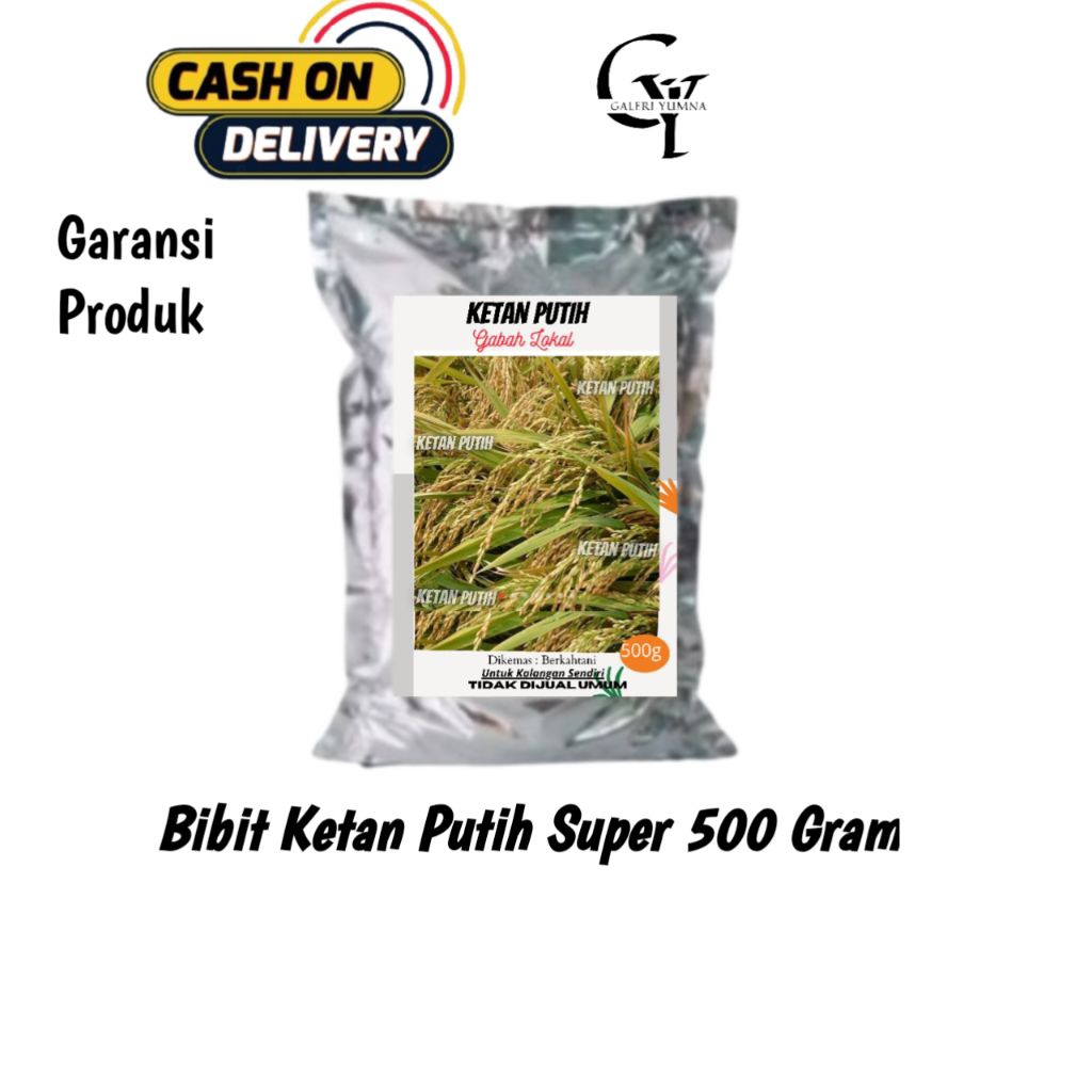 Bibit Ketan Putih Lokal Kemasan 500gram