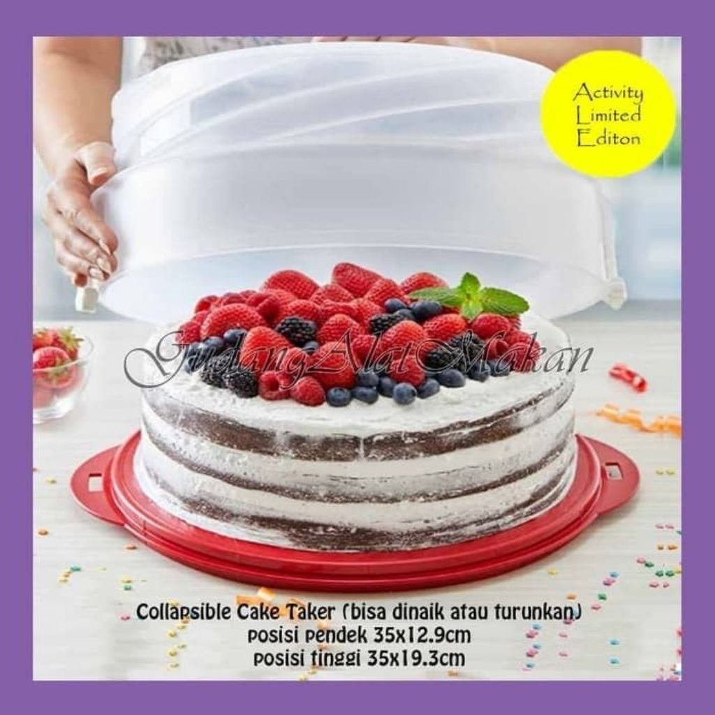 Tupperware collapsible cake taker round cherry