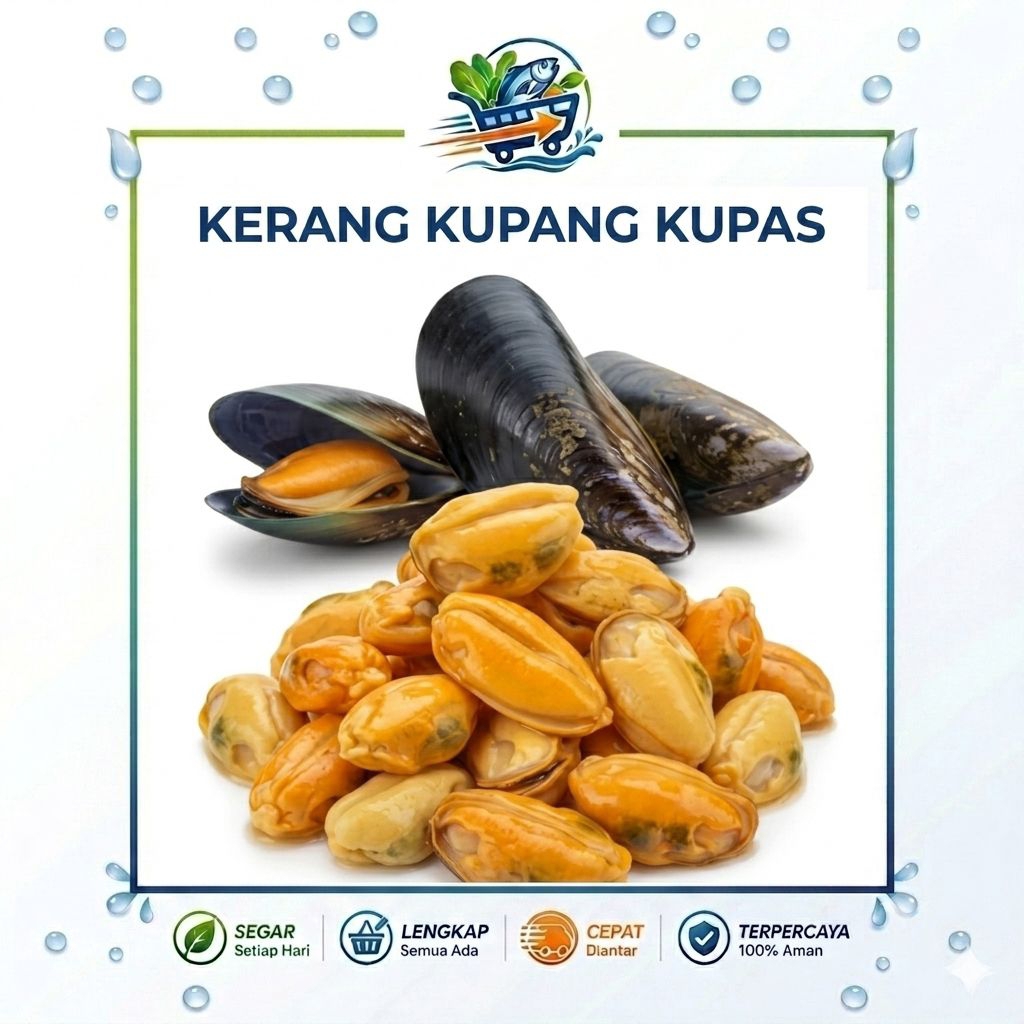 Kerang Kupang Kupas Mentah Fresh 250gr / Kerang Kupang Kupas Tanpa Cangkang
