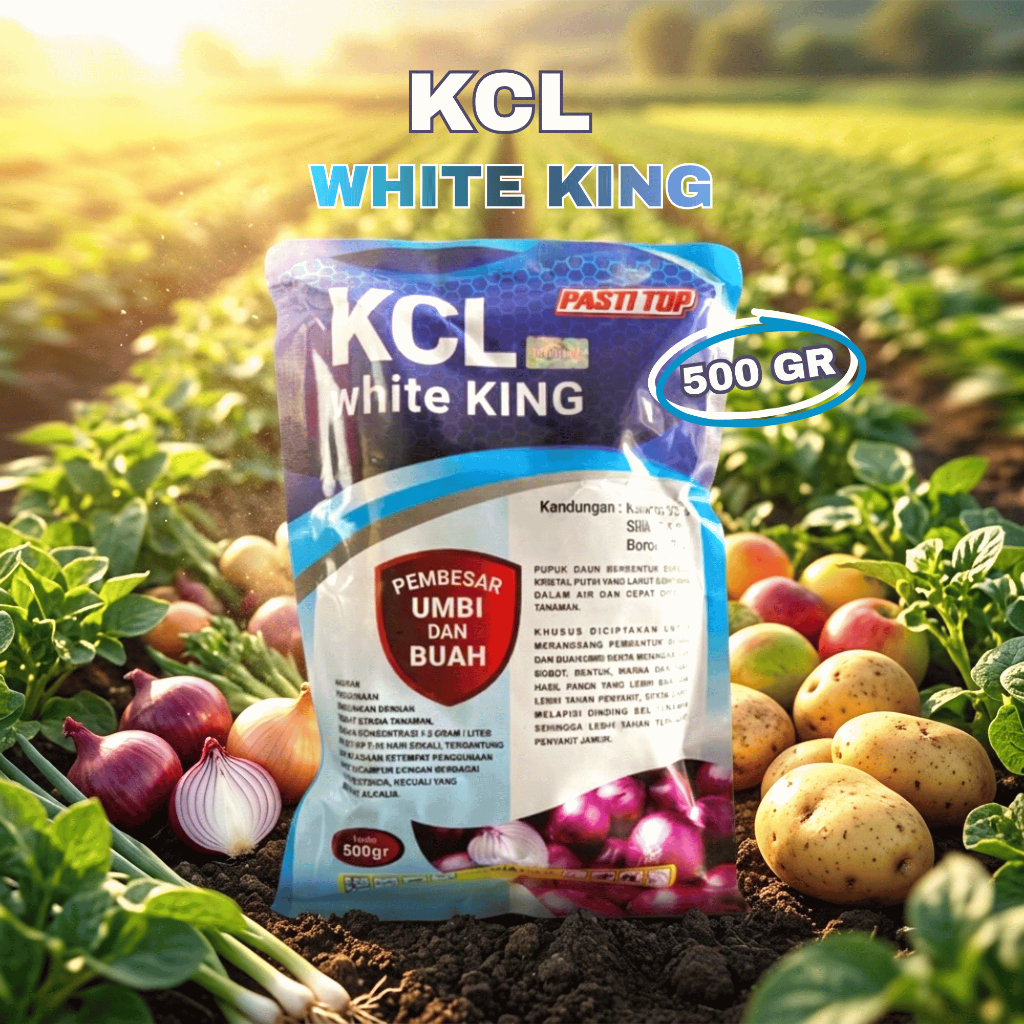 KCL White King Pupuk Kalium | Pupuk Buah & Umbi untuk Tanaman Produktif dan Berkualitas