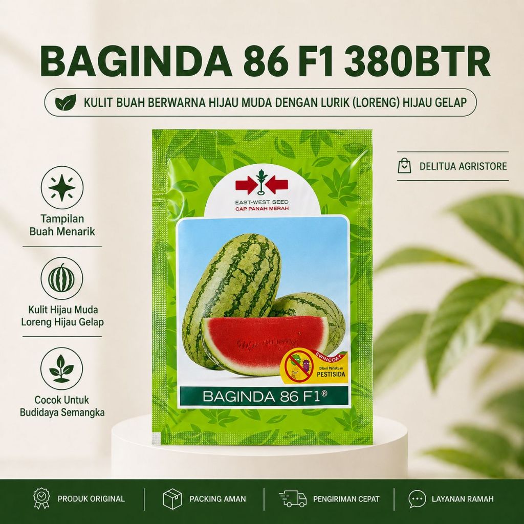 Benih Semangka Baginda 86 F1 Isi 380