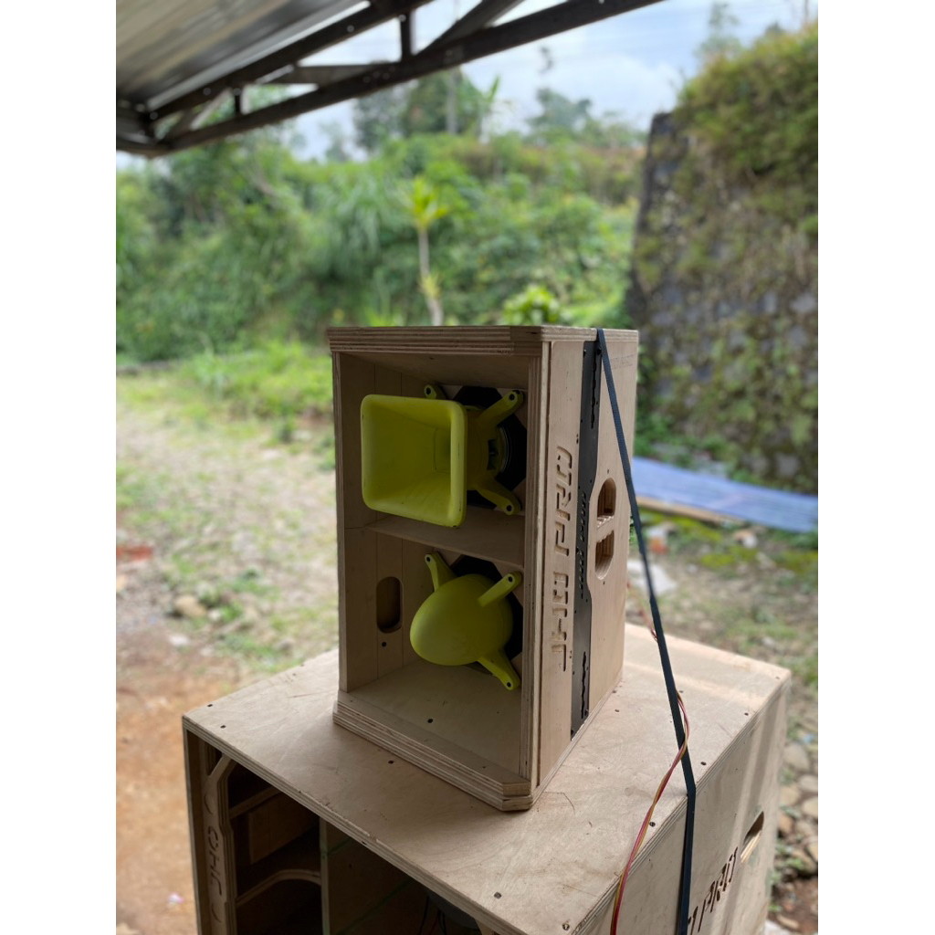 BOX T24n 10 inch plus horn rudal