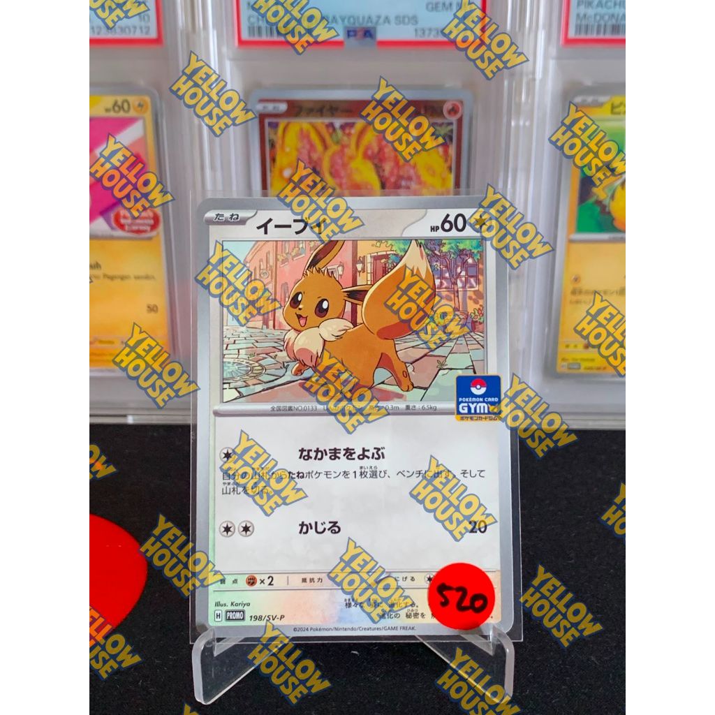 Promo Eevee Gym Pokemon Japanese 198/SV-P