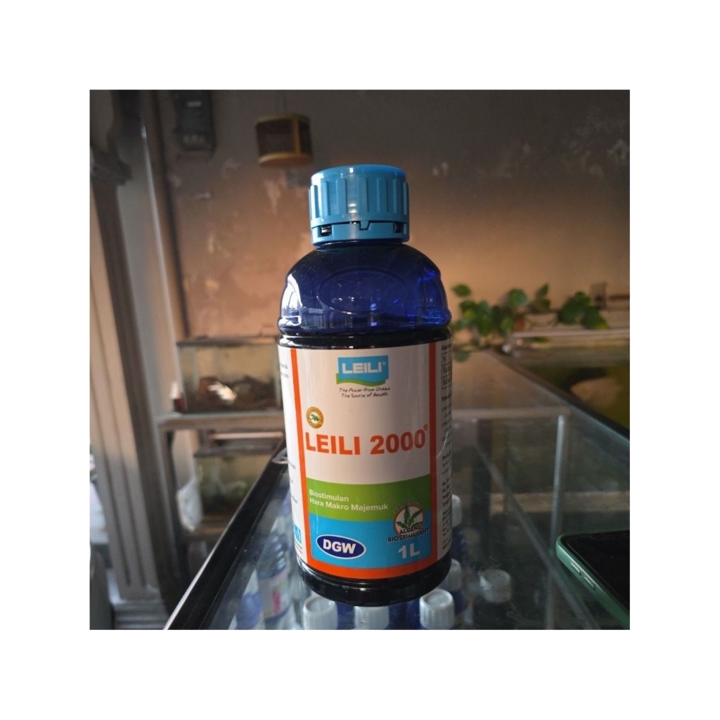 Leili 2000 1Liter original DGW