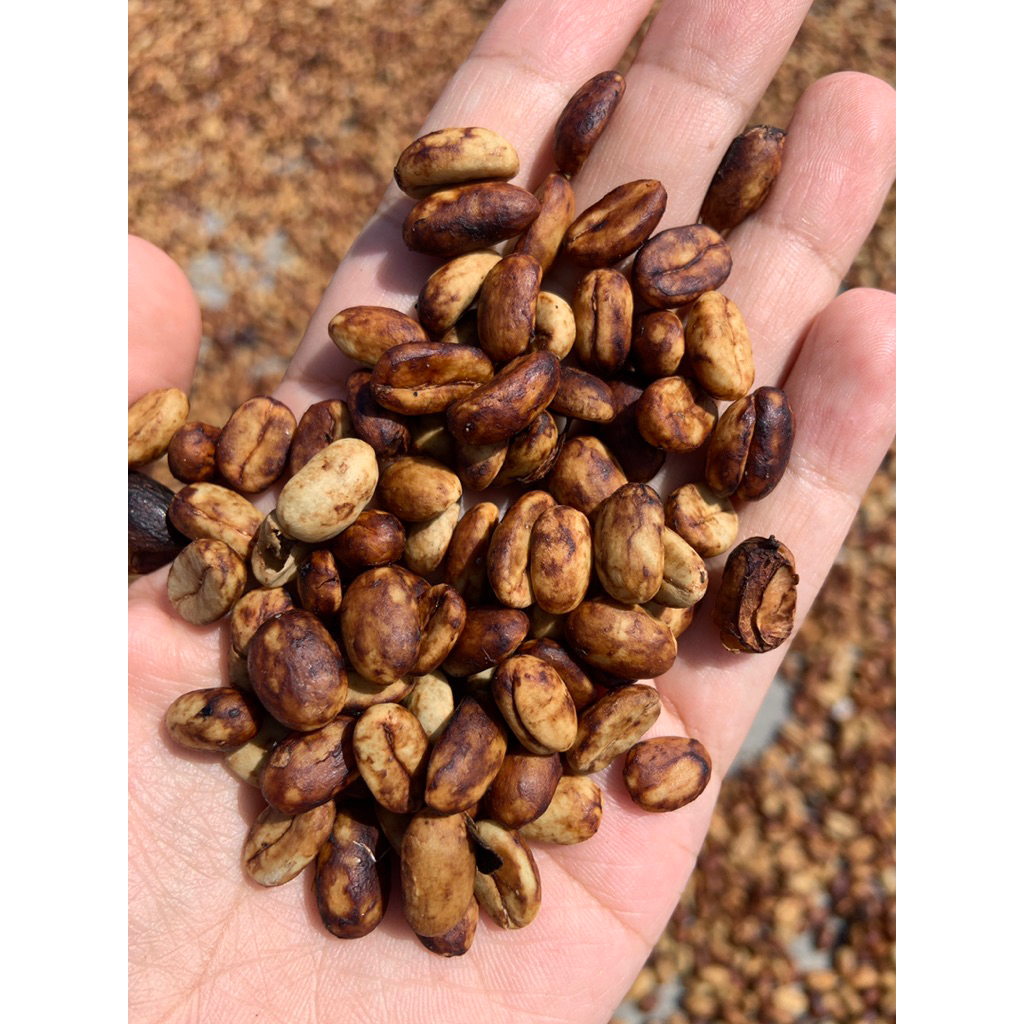 BUBUK KOPI ARABIKA HONEY IJEN RAUNG BONDOWOSO