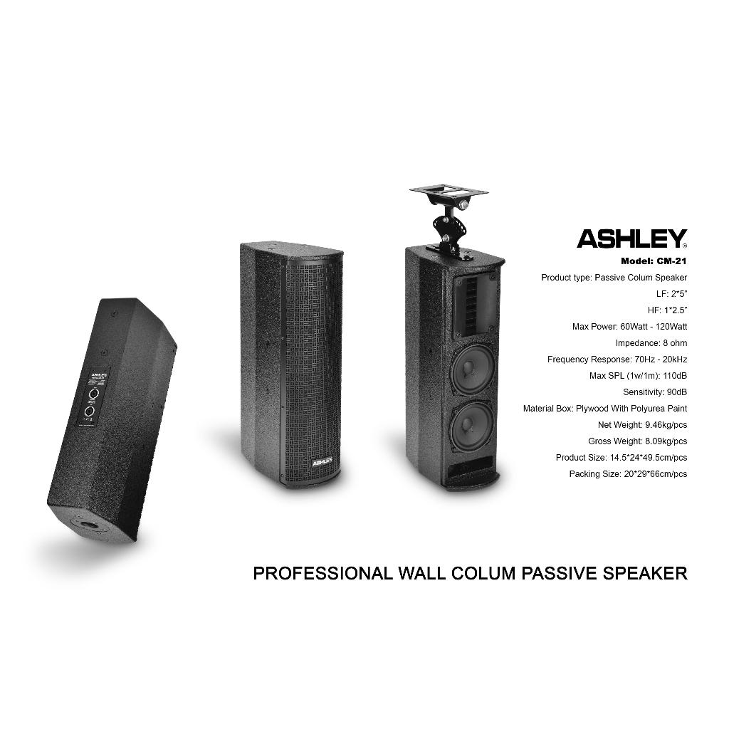 Speaker Colum Ashley CM-21