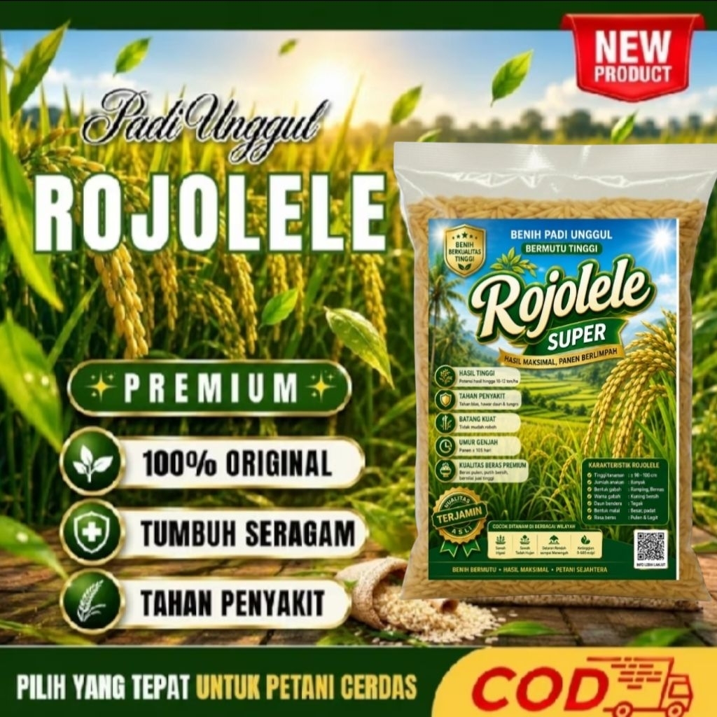 RAJA BENIH 5Kg BIBIT PADI CIHERANG ROJOLELE SUPER ORIGINAL BERSERTIFIKAT LABEL PUTIH 3 KALI TANAM