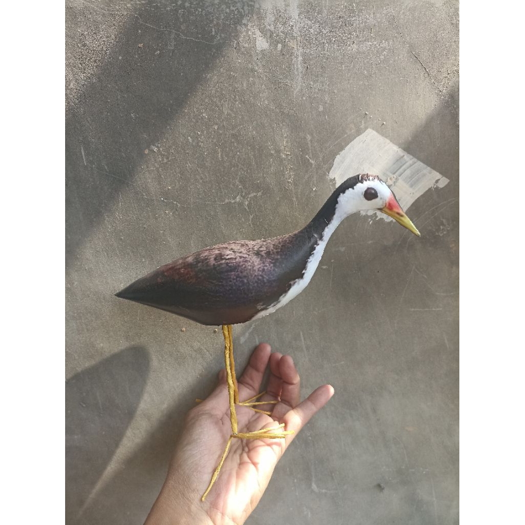 COD DECOY BURUNG RUAK2 PATUNG MANUK KAREO PADI JONTROT RUAK RUAK MIRIP ASLI TAHAN PENYOK KUALITAS PR