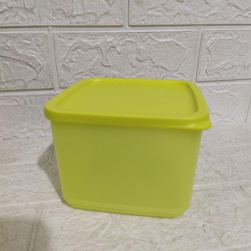 Tupperware Medium Summer