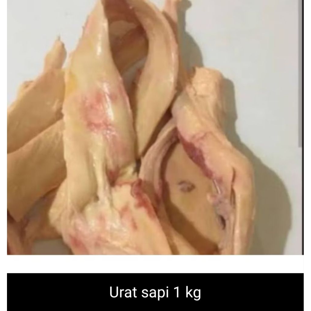 Urat sapi segar fresh/ sapi urat segar fresh