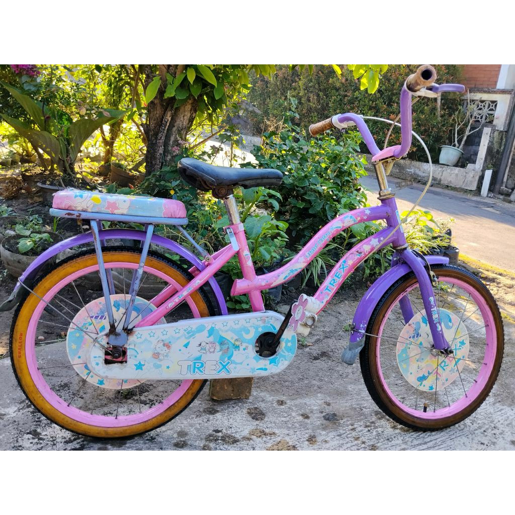 [JUAL MURAH] Sepeda Anak Perempuan Merk Inter Bike dan Trex Ring 18 (18 inch) Bekas / Second (2nd) -