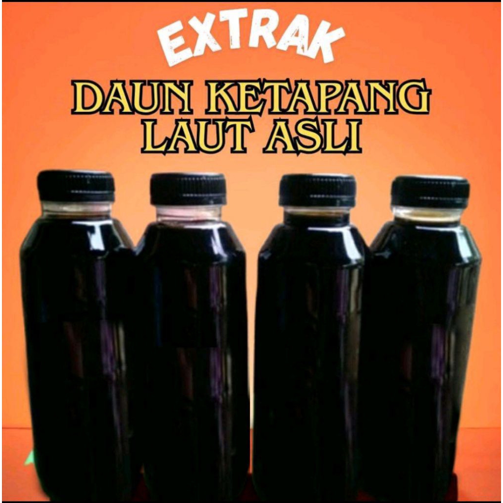 Ekstrak daun Ketapang laut untuk kesehatan ikan cupang 1000ml