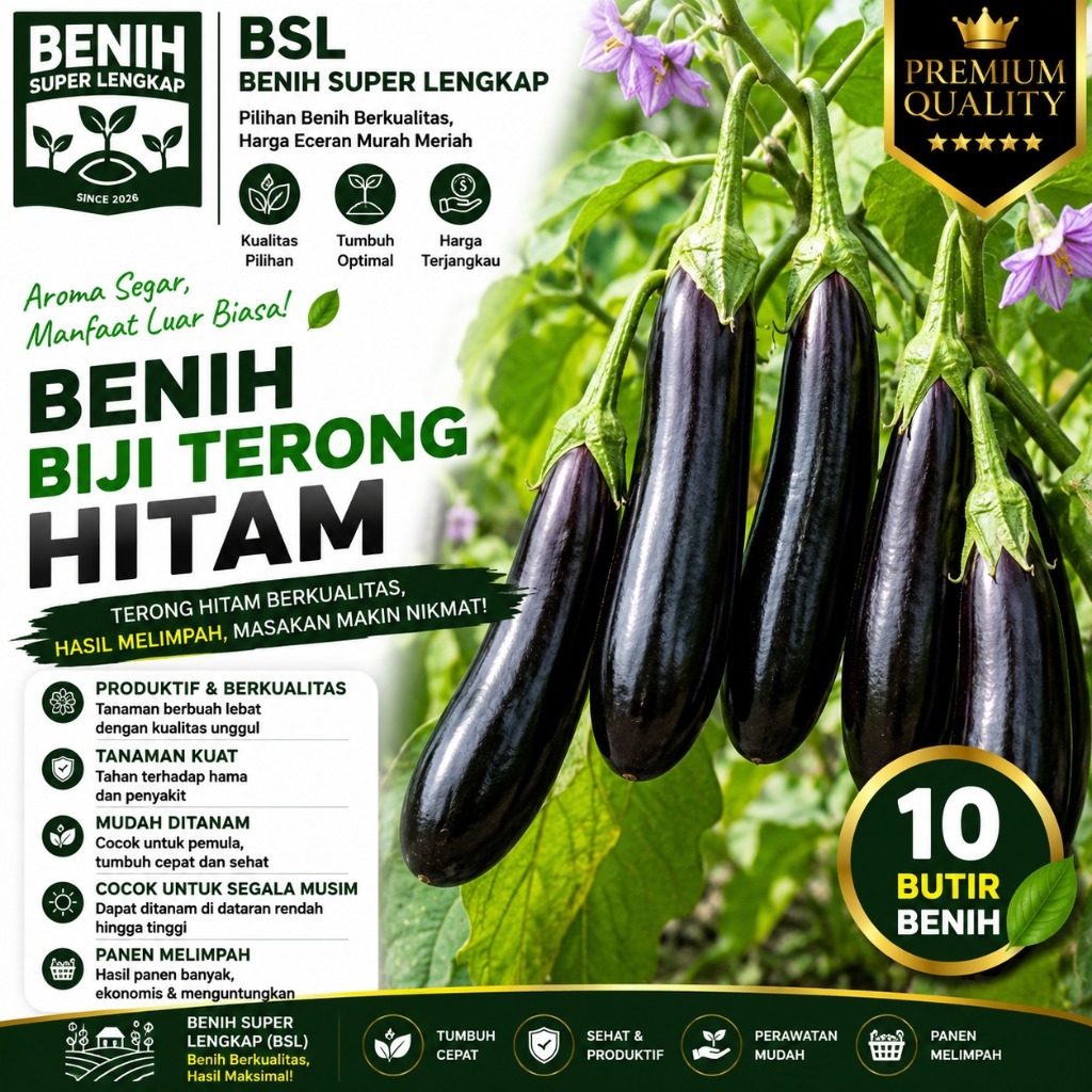 ( 10 Butir ) Benih Biji Terong Hitam | Terong Hitam Panjang | UKI BIBIT