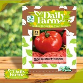 DF Benih Sayur Tomat Beefsteak Determinate / Tomato Determinate Beefsteak