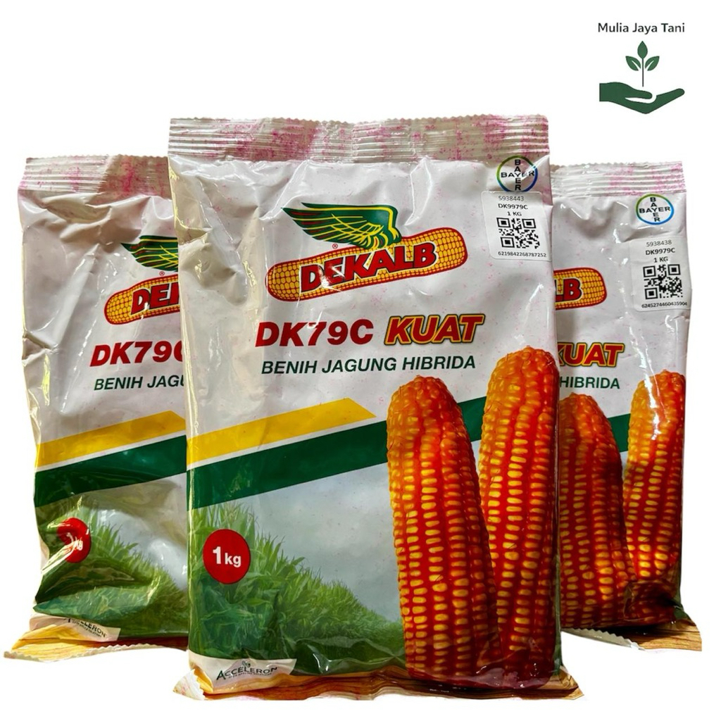 Benih Jagung DEKALB DK79C Kuat Kemasan 1 kg - Bibit Jagung Berkualitas Dekalb