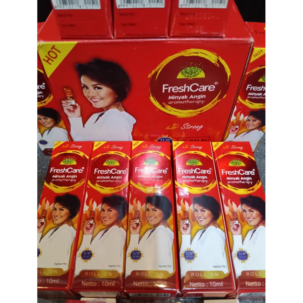 MINYAK ANGIN FRESH CARE HOT