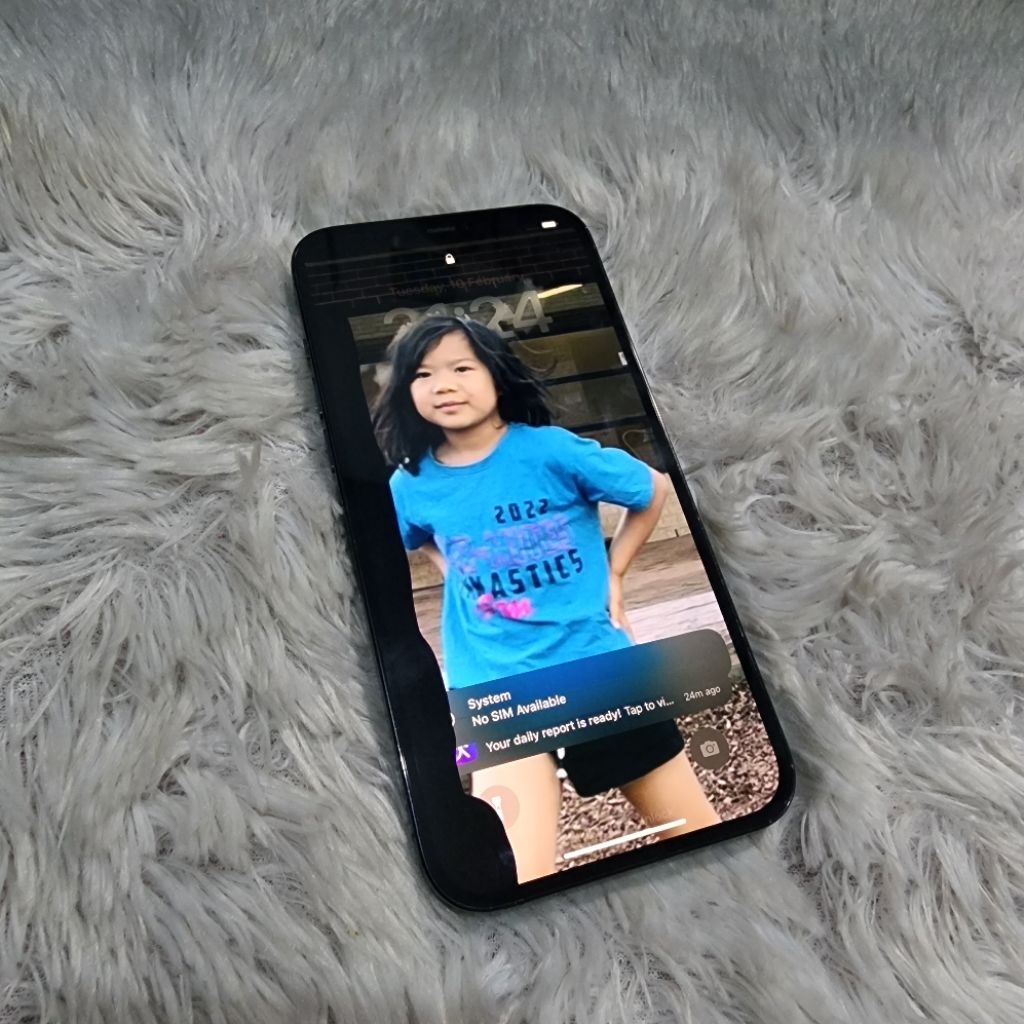 iPhone 12 Pro Max 128Gb