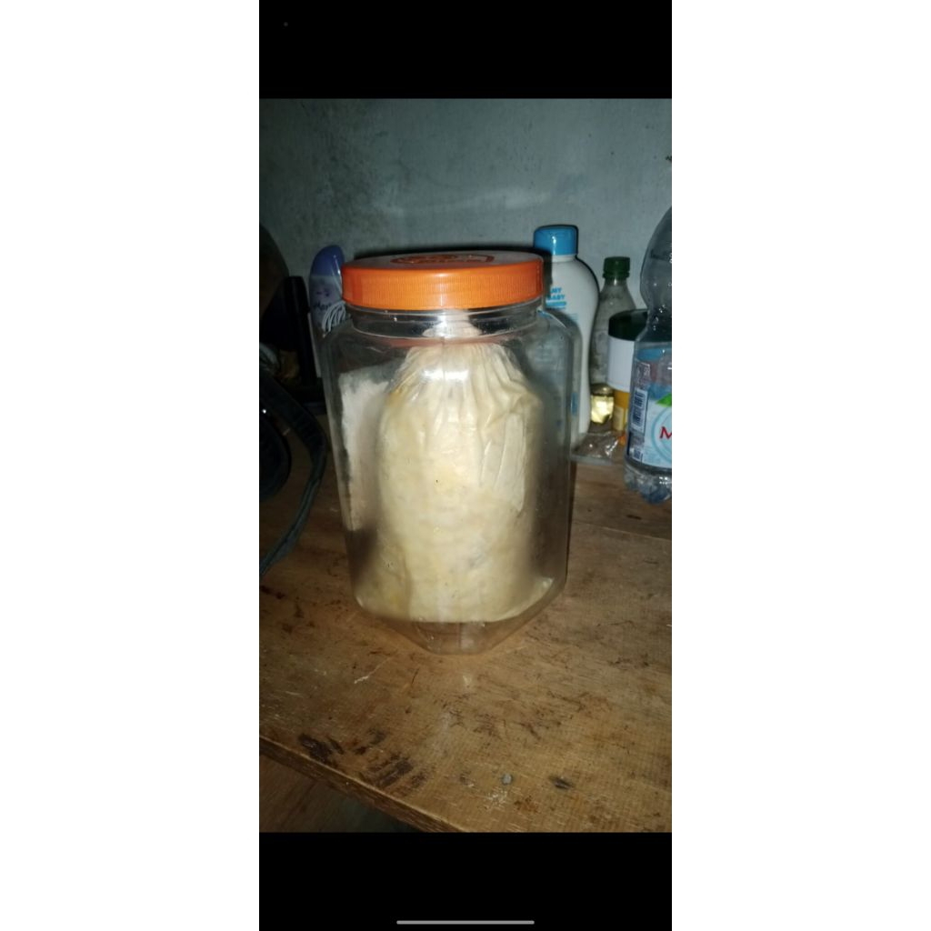 tempoyak durian 1kg