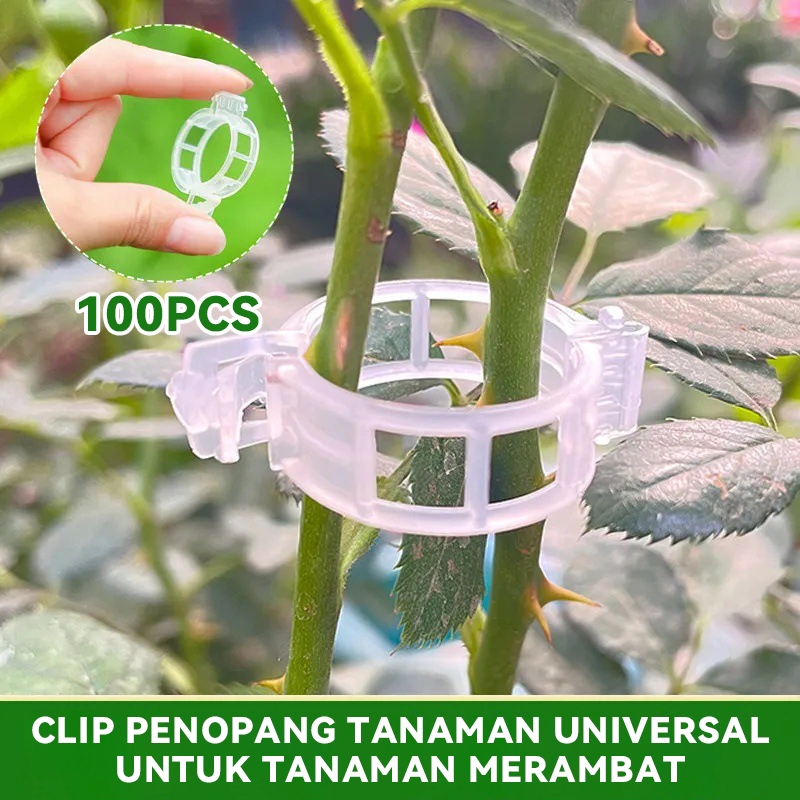 100PCS Alat pengikat tanaman merambat, gesper pengikat cabang, penjepit tanaman merambat, penjepit t