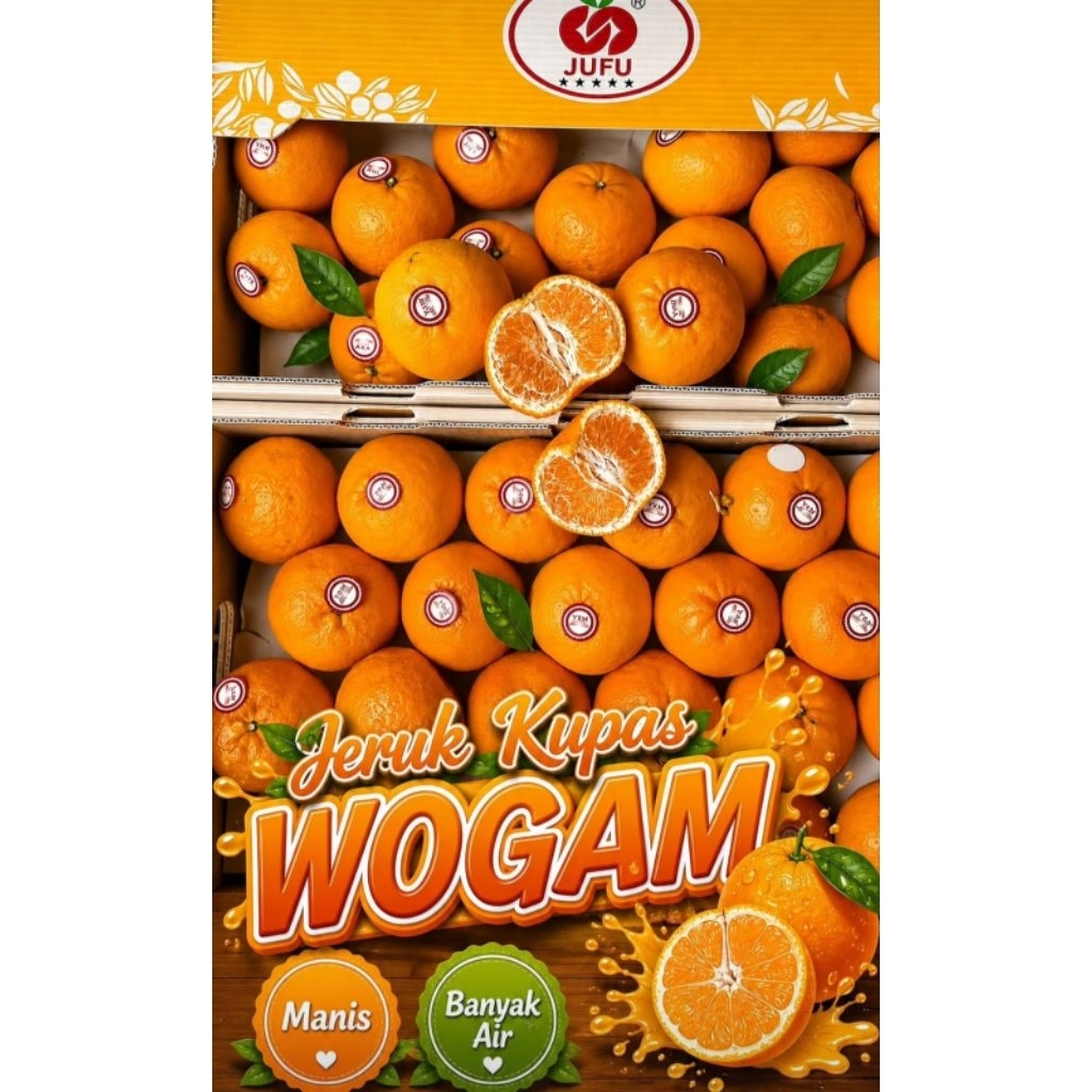 jeruk wogan mandarin 9kg dus