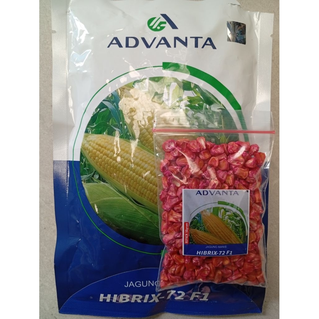 Benih Jagung Hibrix 72 F1 Kemasan repack 50gr Advanta - Tongkol Besar Manis Super