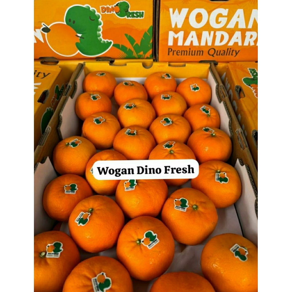 jeruk wogan dino 9kg dus