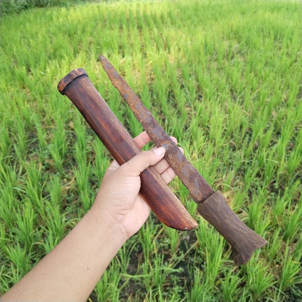 tosan aji kabudan temuan