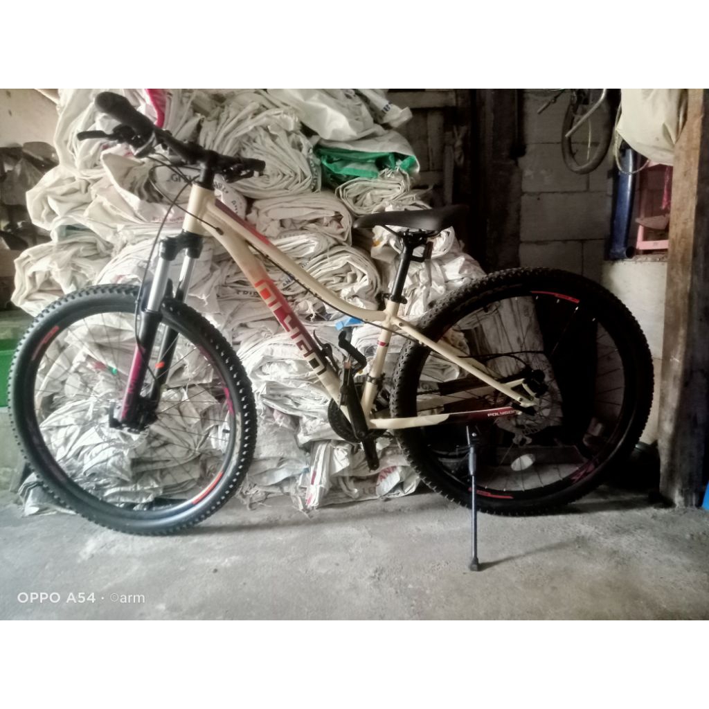 Polygon Cleo 2