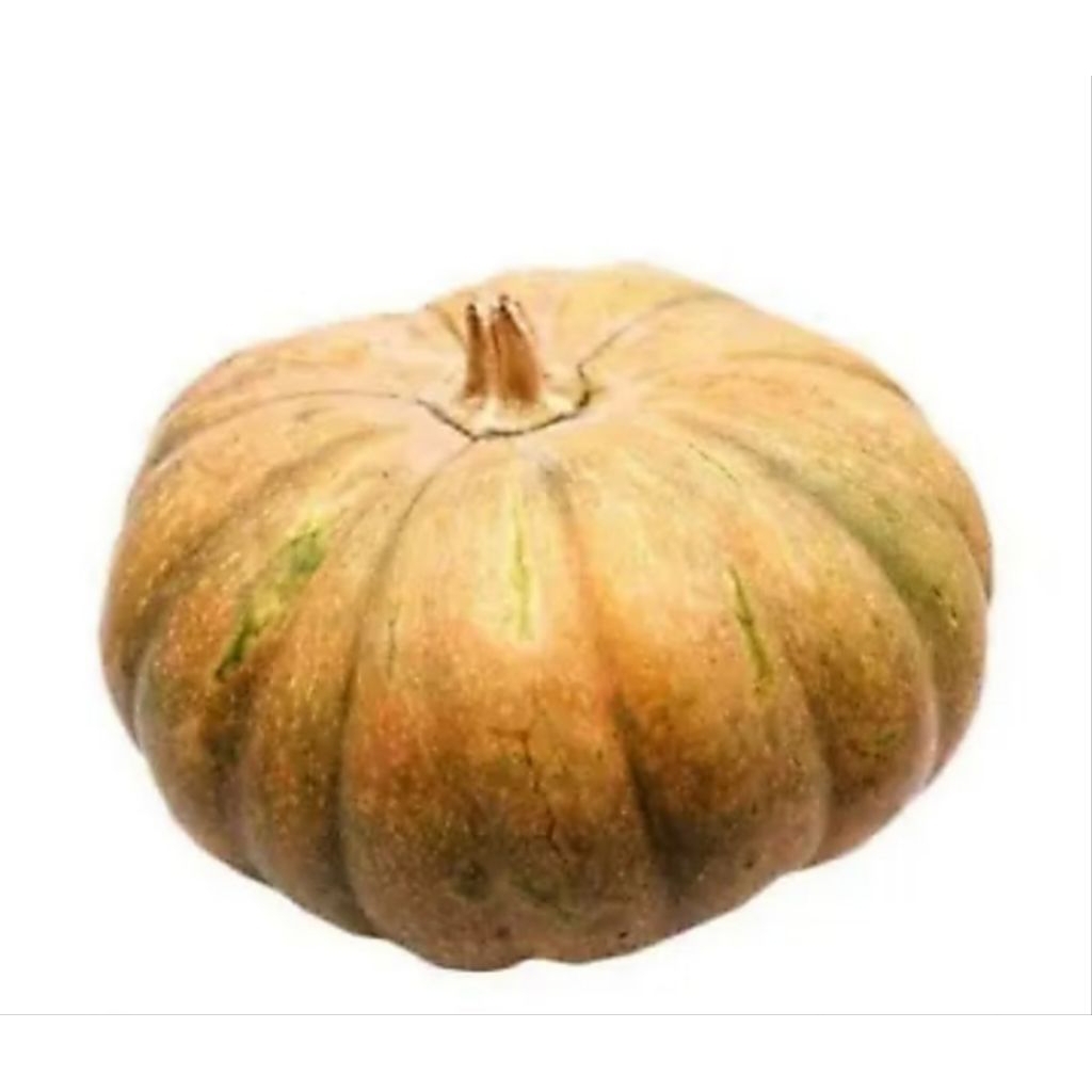 Buah Waluh / Labu 1-2kg