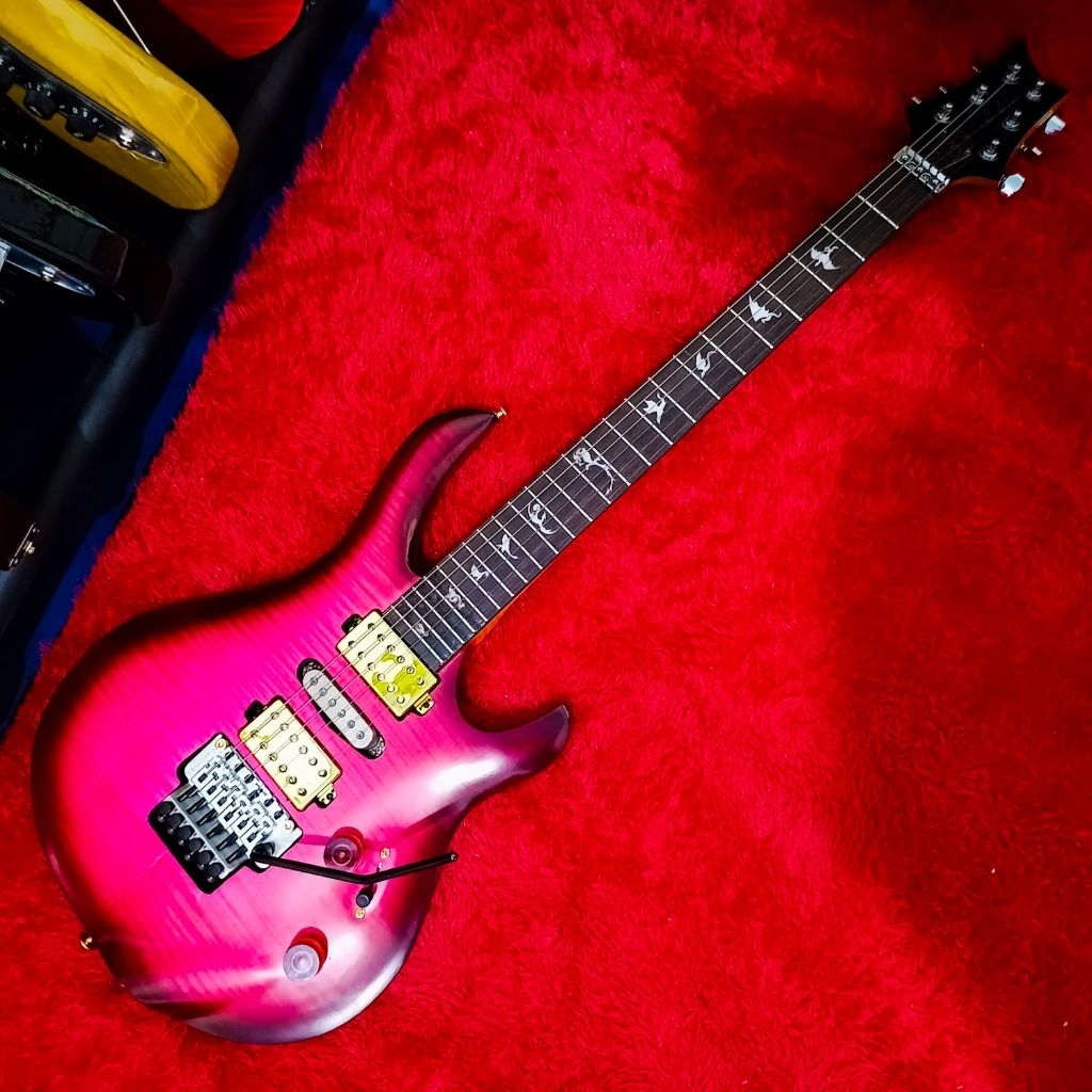 Gitar Elektrik Prs Herman Li, Push Pull, Pickup Original Prs, Pickup Single Fishman