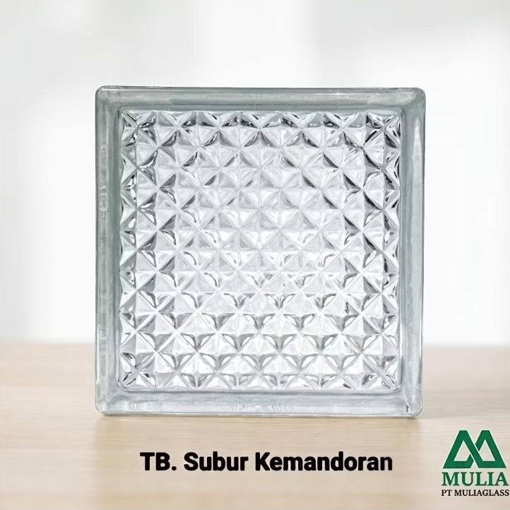 Glass Block Mulia Glass Motif Net Ukuran 190x190x95 mm Blok Kaca Pembatas Ruangan