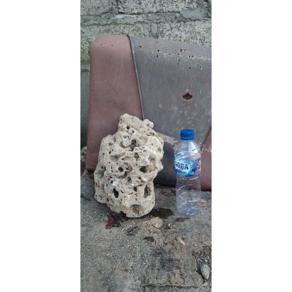 batu karang laut