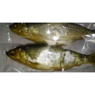 Ikan Bandeng Presto Duri Lunak Isi 2