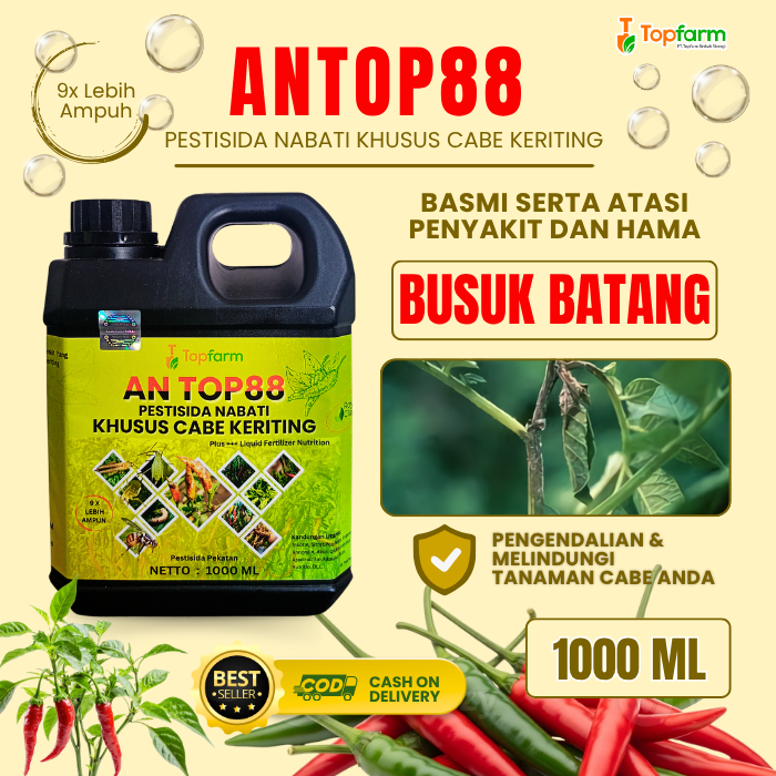 Obat Busuk Batang Cabe Keriting / Pestisida Topfarm / Obat Penyakit Busuk Batang Cabe / Obat Busuk B