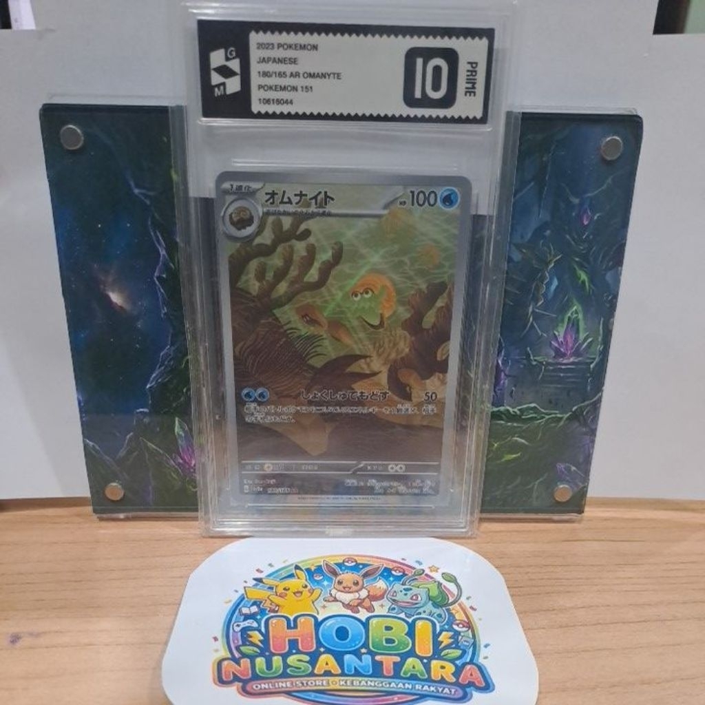 Omanyte AR 151 JPN grade 10 GM