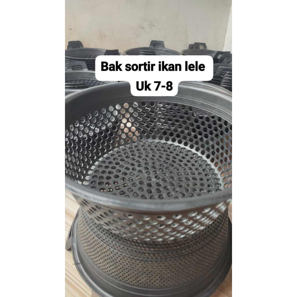 bak sortir lele/ikan lele/ember sortir lele murah/ember lele/ember sortir ikan/ember ayak /ember aya