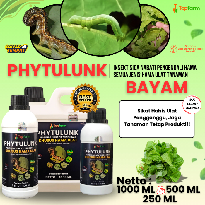 Obat Pembasmi Ulat Daun Bayam / Obat Daun Bayam Berlubang / Pestisida Pengendali Hama Ulat / Insekti