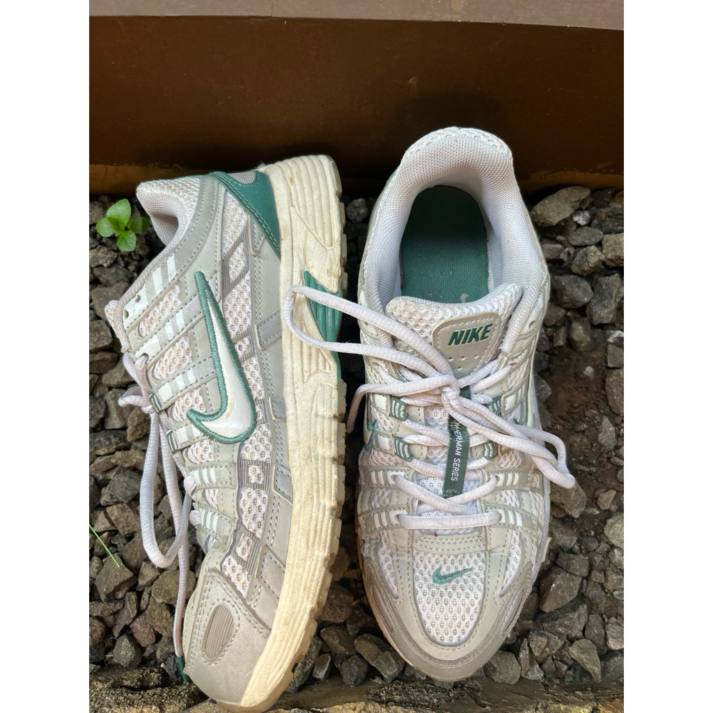 NikeP6000