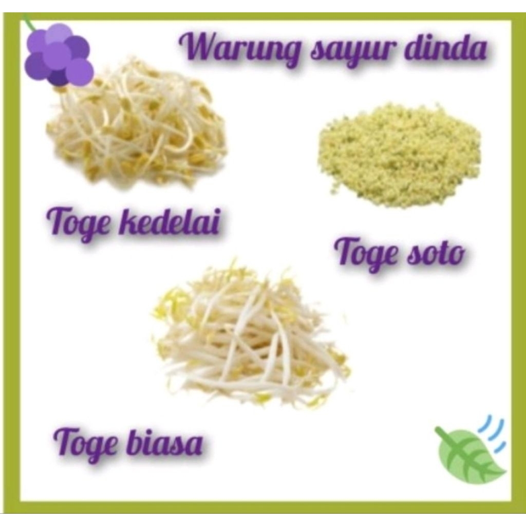 Toge Segar  toge soto ,toge kedelai ,toge biasa Sayuran Segar, Fresh, dan Organik