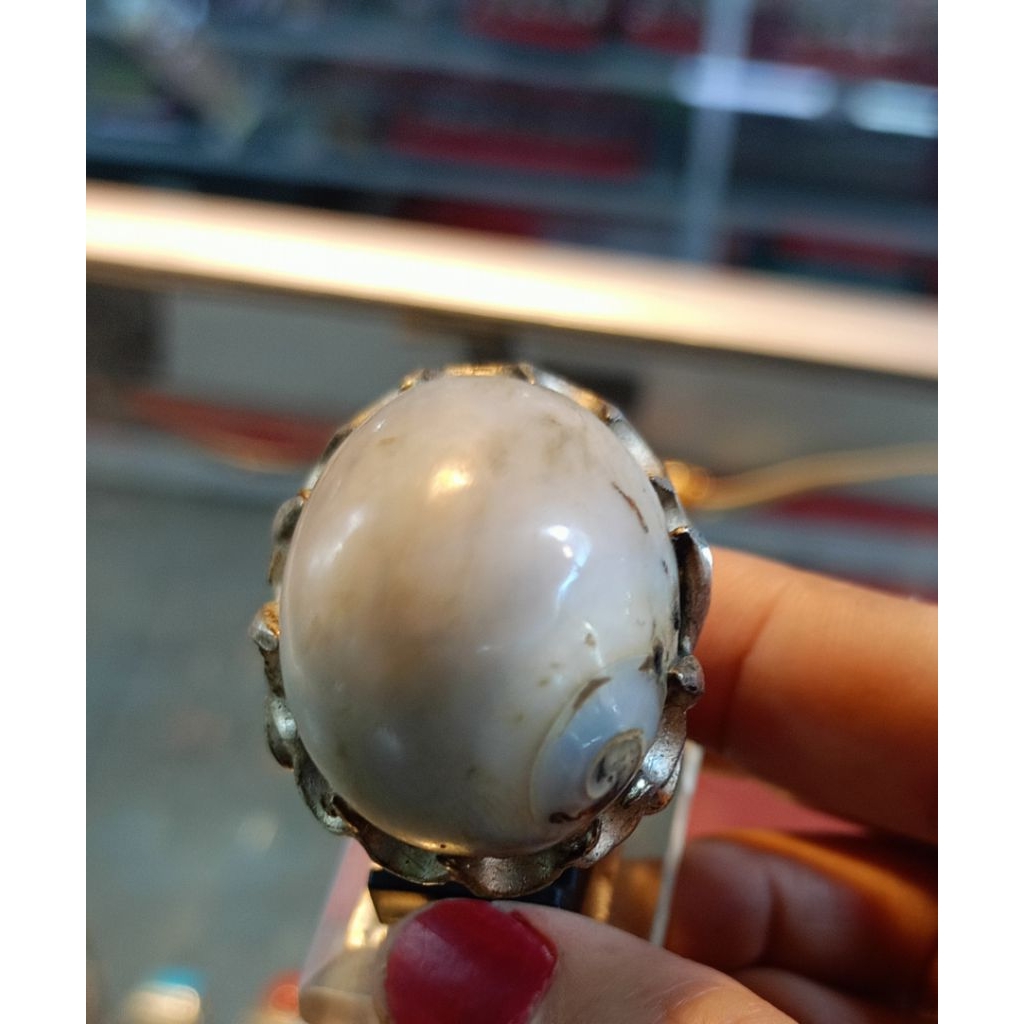Cincin fosil keong/ kool buntet putih(Natural)