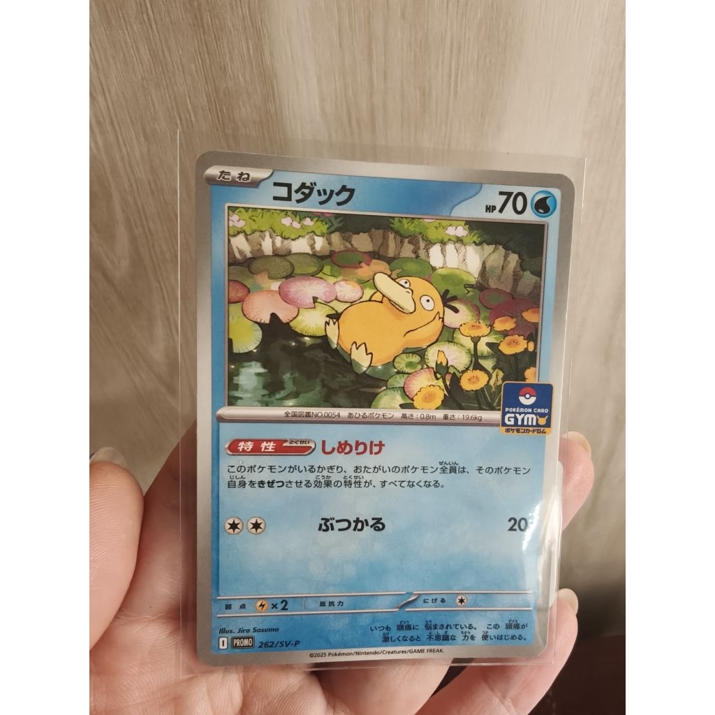 Psyduck gym Promo TCG pokemon Japan 262 SVP